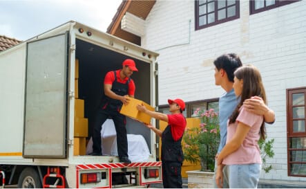 packers movers team