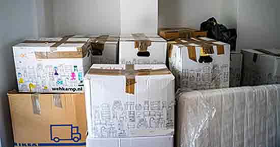 best movers packers team india