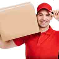 movers packers staff